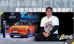 威马车主最新爆料,揭秘新能源汽车的“痛点”与“亮点”